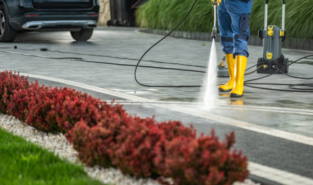 Best Pressure Washing Near Me  in Los Luceros, NM