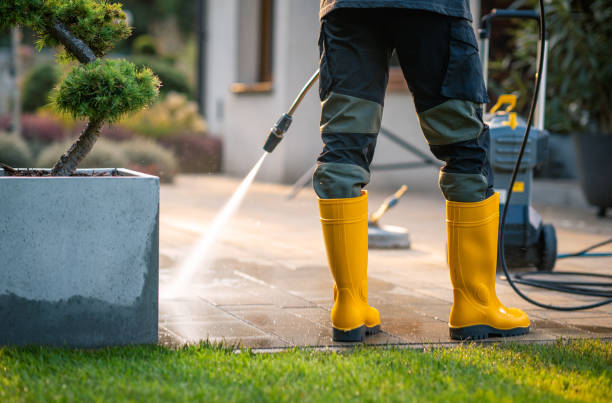 Best Pressure Washing Company Near Me  in Los Luceros, NM